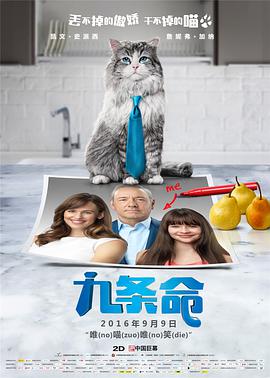 99自拍视频在线观看