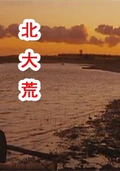 公开便所